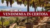 Vendemmia in Certosa 2026 a Napoli, la festa per le famiglie