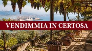 Vendemmia in Certosa 2026 a Napoli, la festa per le famiglie