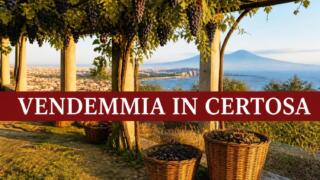 Vendemmia in Certosa 2026 a Napoli, la festa per le famiglie
