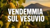 Vendemmiamo la Catalanesca 2026 a Somma Vesuviana, XIII edizione